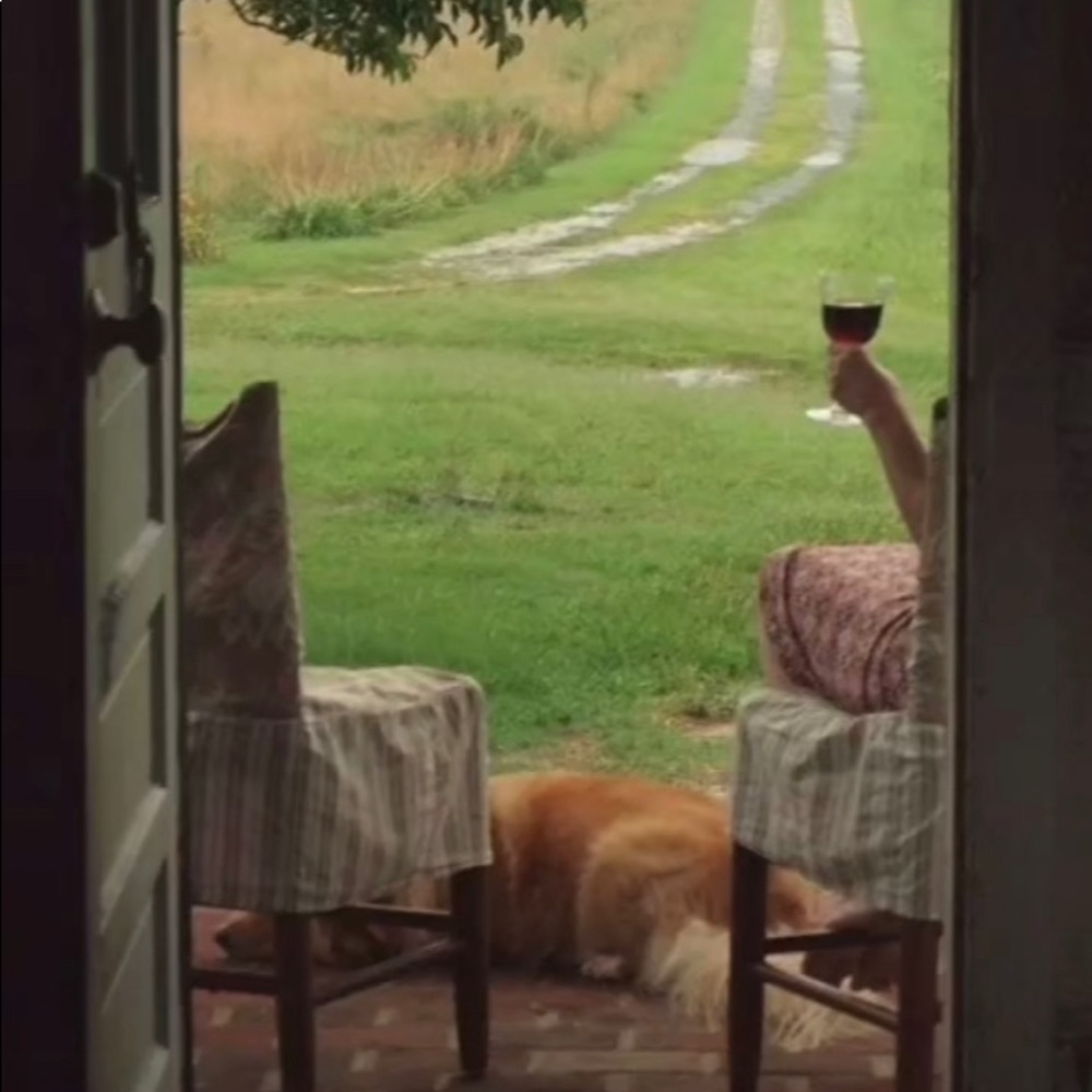 Meet your Posher, Lila